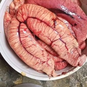৩ কেজি ডিম ১৫০০ টাকা